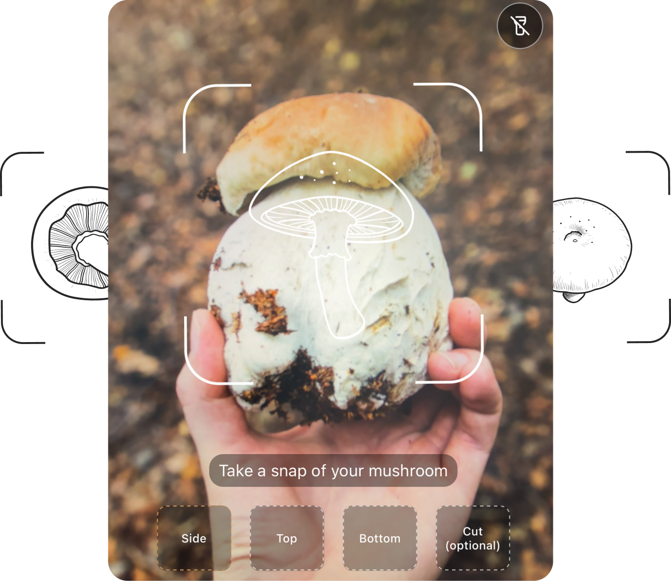 Scan and discover the species instantly with AI